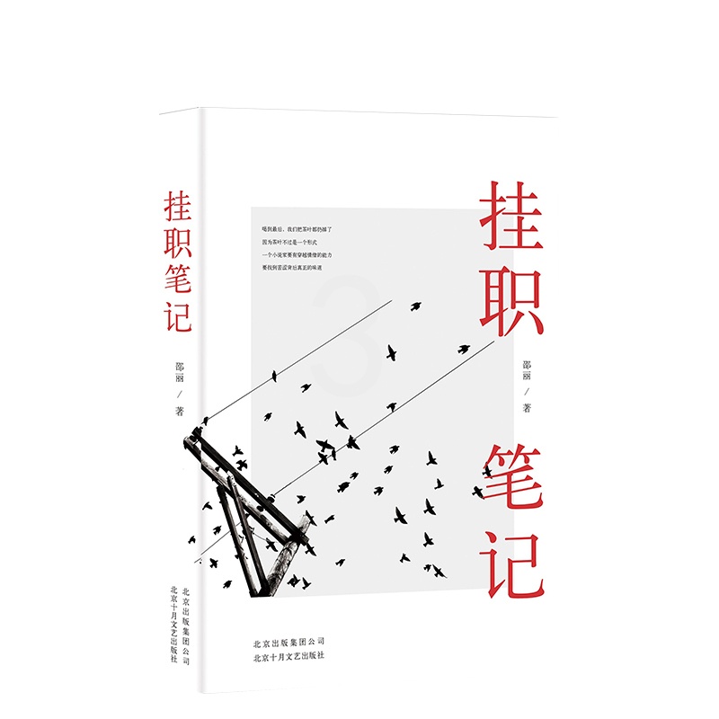 [醉染正版]JD 挂职笔记 邵丽 著 职场小说文学 现当代小说 正版图书高清大图