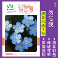 花种子四季播盆栽雏菊向日葵薰衣草太阳花种籽孑大全虞美人种植 均码 勿忘草约100粒