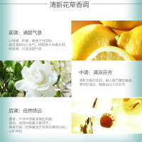 伊丽莎白雅顿(Elizabeth Arden)绿茶女士淡香水 女士香水 EDT 100ml