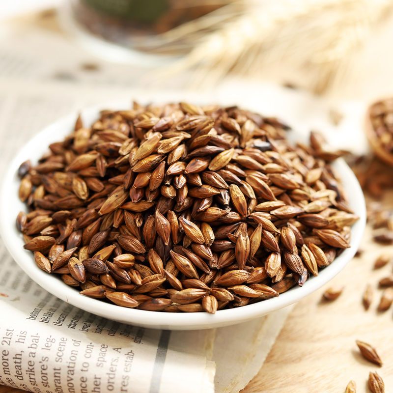 赛卡伊 大麦茶批发原味饭店用浓香型养瘦胃身吸油麦芽茶炒熟回奶断瓶