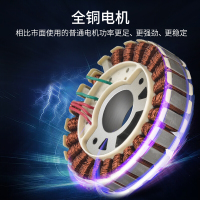 纳丽雅(Naliya)便携式汽油电机家用1000w220v伏小型迷你户外低静音车载电 全铜变频1000W12公斤