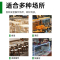 意黛斯(YIDAISI)商用洗碗机 通道式自动化大型酒店食堂饭店刷碗机 单缸单喷淋带烘干YDS-BD-200-D