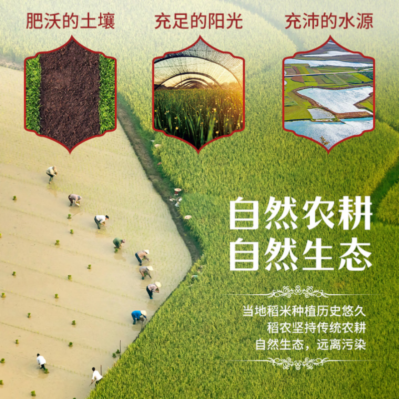 太粮 泰粮月兰香米 5kg*1袋高清大图