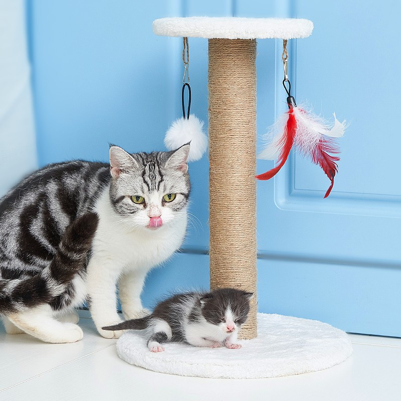 疯狂的主人猫抓柱大号玩具猫抓板猫爬架立式不掉屑挠磨爪器猫窝逗猫玩具猫咪用品