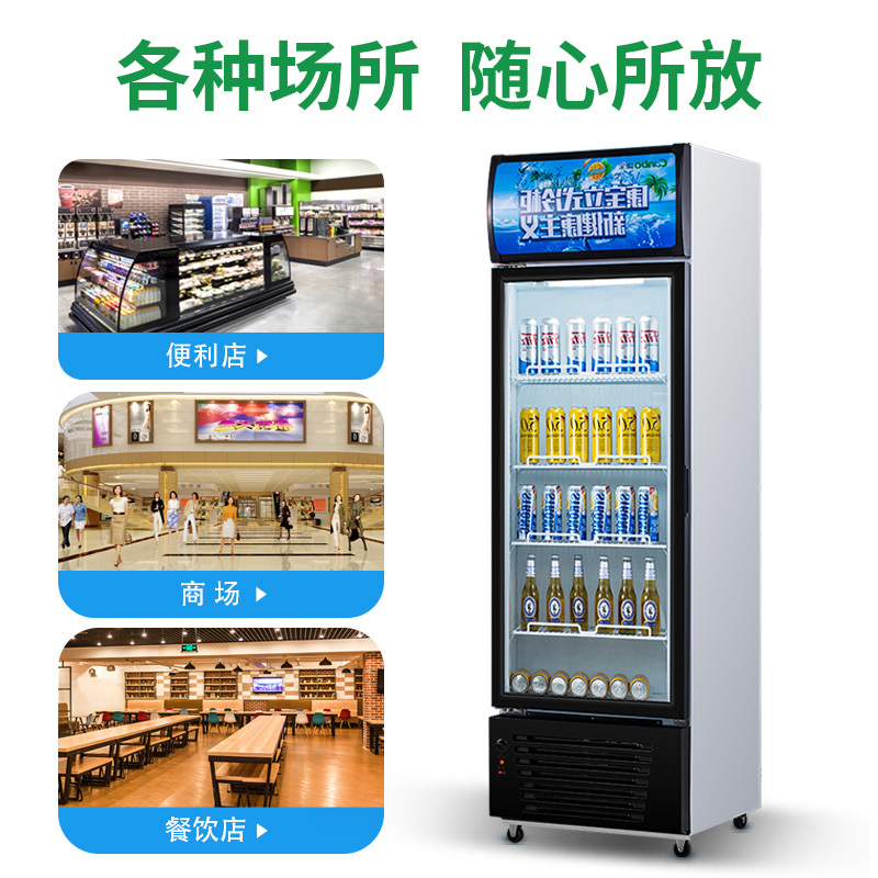 康宝（Canbo）LGL338-B 展示柜 冷藏冰柜 立式 商用冷柜 保鲜柜 单门饮料柜 bd
