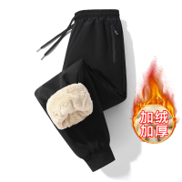 伊夫狼爪(YIFULANGZHUA)冬季新款男士羊羔绒运动休闲裤防风防水棉裤直筒裤松紧腰束脚长裤