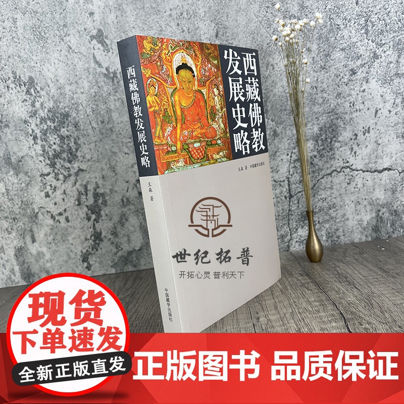 正版 西藏佛教发展史略 王森/著 中国藏学出版社高清大图