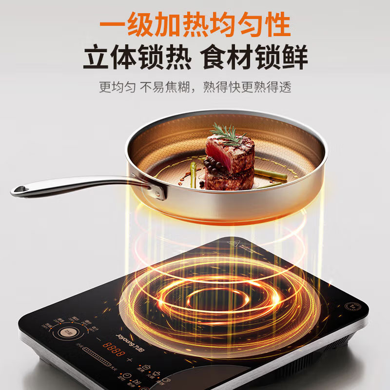九阳(Joyoung)大火力电磁炉爆炒多功能10档家用2200W大功率商超同款C22S-N9L 台高清大图