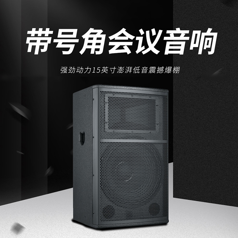 润普RP-HYX604 国产化 音视频会议室展厅教室礼堂报告厅15英寸号角全频会议音响/喇叭扬声器高清大图