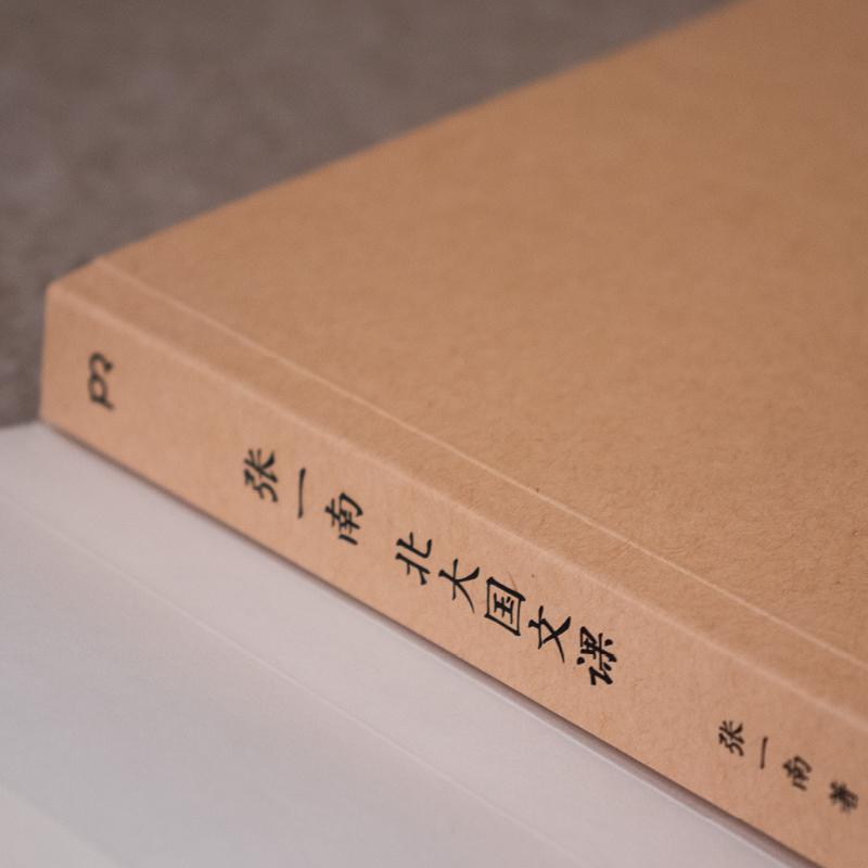 [正版]张一南北大国文课张一南普通大众国学通俗读物辞典与工具书书籍高清大图