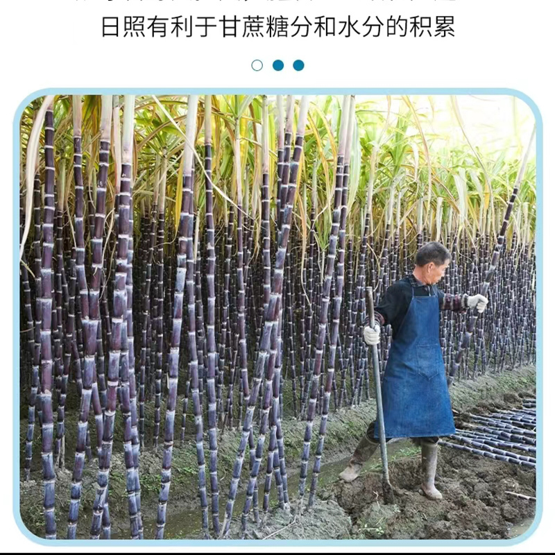 珑语田 单晶冰糖 500g/袋高清大图