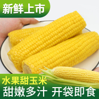农得客新鲜水果玉米杂粮非转基因无添加200g*8根