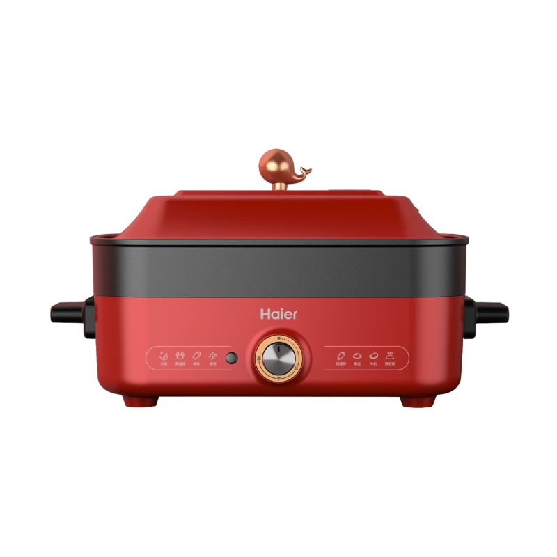 海尔(Haier)多功能烹饪锅 多用途锅 电煮锅 电蒸锅 电火锅 大火力精准控温不沾油涂层防溢锅盖 DYG-MX5001高清大图