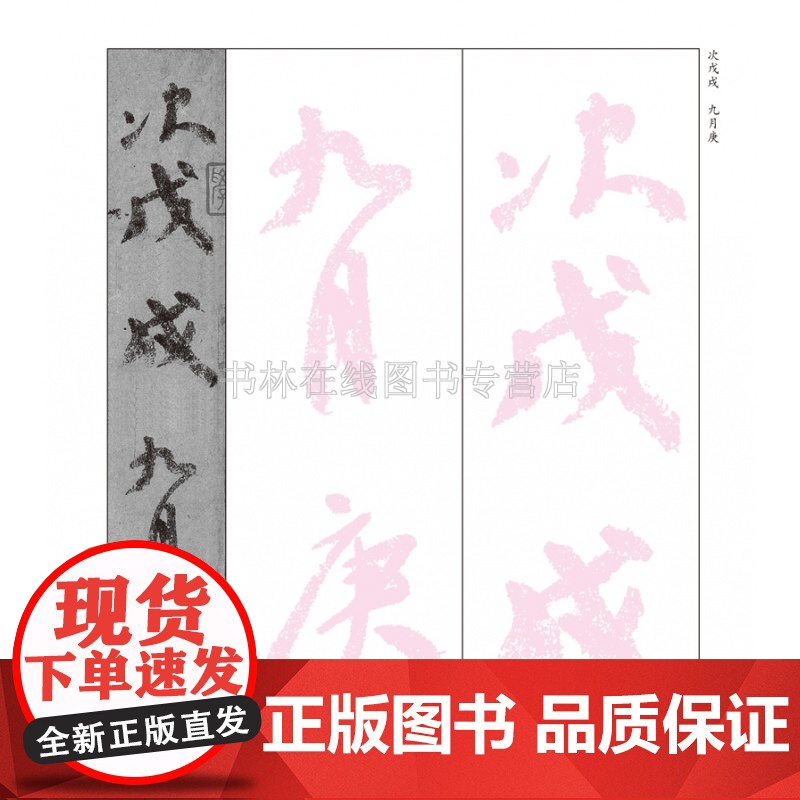 颜真卿祭侄文稿 我向经典学书法中小学生描红丛书 行书草书毛笔软笔字帖教程青少年临摹笔画讲解简体旁注 河南美术出版社高清大图