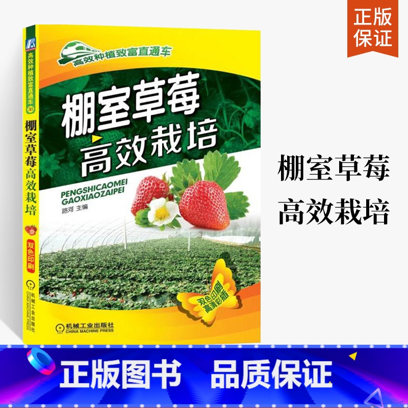【正版】棚室草莓高效栽培 草莓种植书籍大全 草莓育苗技术 栽培管理 无土栽培模式参考书 常见病虫害及防治用书 草莓棚室