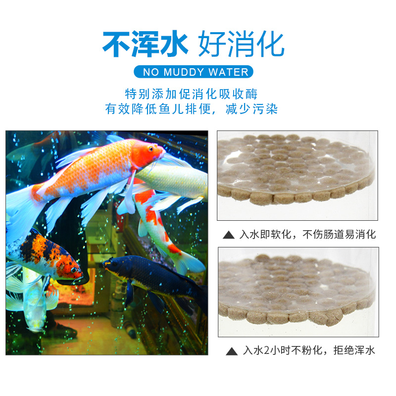 锦鲤鱼饲料金鱼鱼食螺旋藻增色颗粒鱼粮不浑水观赏鱼饲料锦鲤鱼食高清大图