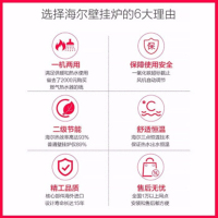 海尔(Haier)燃气壁挂炉 家用采暖炉 L1PB30-HL(T) 30KW 采暖洗浴生活用水多用锅炉 热水器 wifi