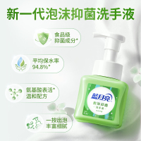 蓝月亮 泡沫洗手液 长效抑菌99.9%* 丰盈泡沫 自然留香 天然芦荟 255ml*1