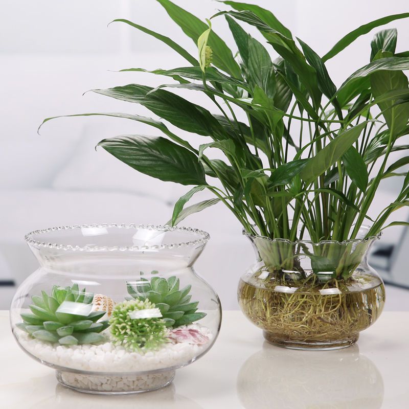 创意水族箱生态圆形花边形玻璃金鱼缸乌龟缸迷你小型造景水培花瓶