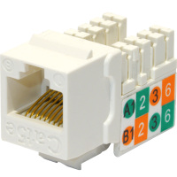 柯菲林 kevolin FT-M45K5E RJ45非屏蔽超五类网络信息模块 （单位：件）