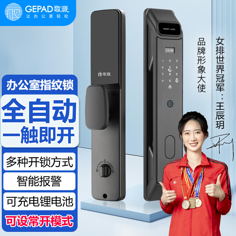 歌派(GEPAD) G5 指纹锁 能锁电子锁防盗门锁指纹密码锁