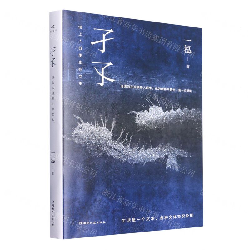 【N】孑孓(镇上人城里生存文本)-9787572608605