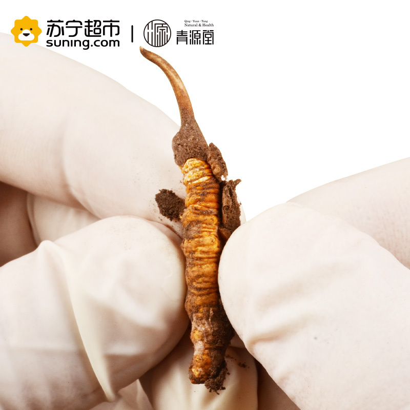 青源堂 冬虫夏草 0.7克/条 100条装70克 新鲜冬虫夏草青海玉树高海拔雪山虫草正品 可泡酒泡水