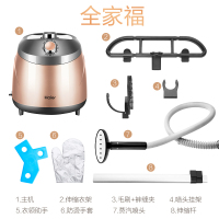 海尔(Haier)挂烫机HGS-2510 香槟金经典款 家用蒸汽电熨斗 大功率小型立式手持 迷你熨烫衣服