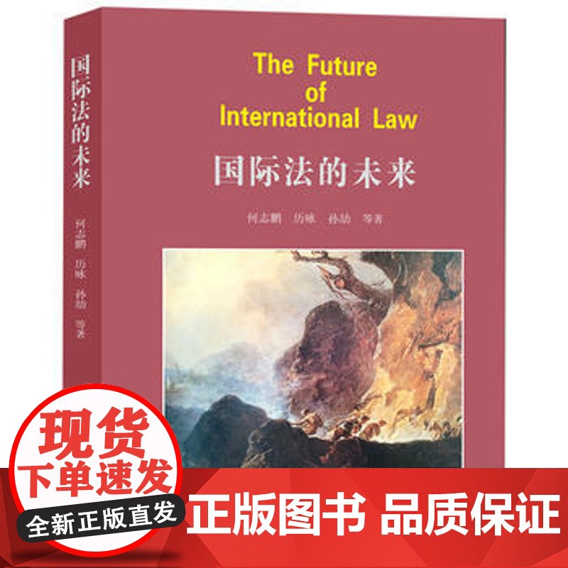 W正版 国际法的未来 何志鹏,历咏,孙劼等 9787519706623 法律出版社 外空活动与外层空间法 公平价值导高清大图