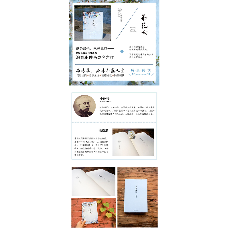 正版 茶花女 [法]小仲马 国际文化出版公司 9787512508781 书籍高清大图