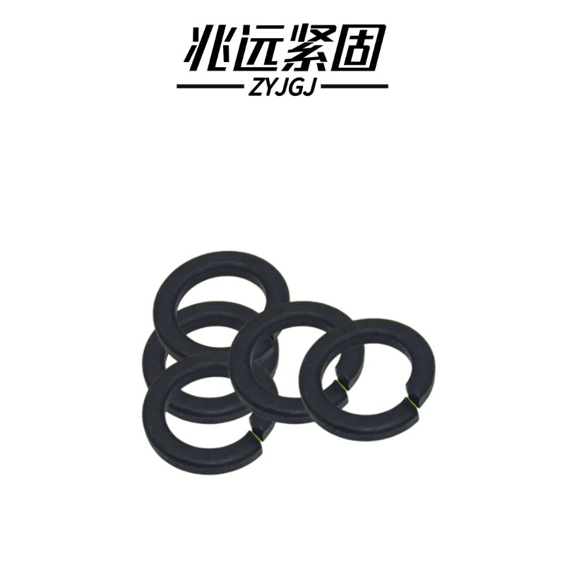 兆远紧固 标准型弹簧垫圈(个)(φ6)