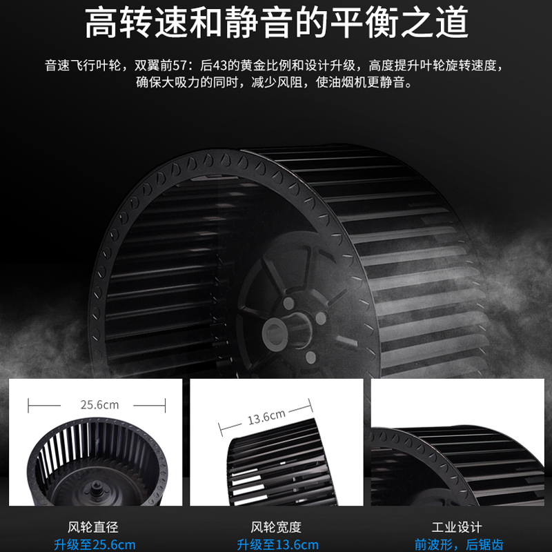 德意(DE&E)20立方侧吸式大吸力烟灶套餐 触控式抽油烟机燃气灶具烟灶套装858E+301A(液化气/天然气)