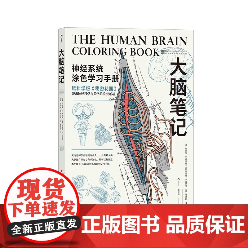 大脑笔记 神经系统涂色学习手册 重现解剖学教授经典课堂 神经系统医学脑科医学涂色练习书籍书排行榜 后浪正版高清大图