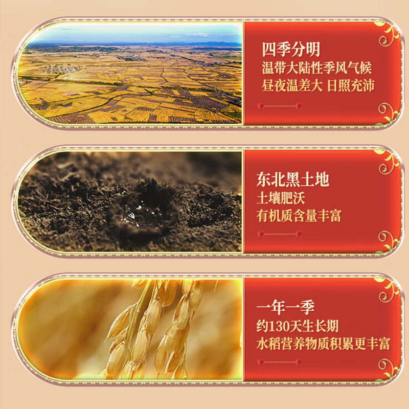 十月稻田辽河长粒香10kg高清大图