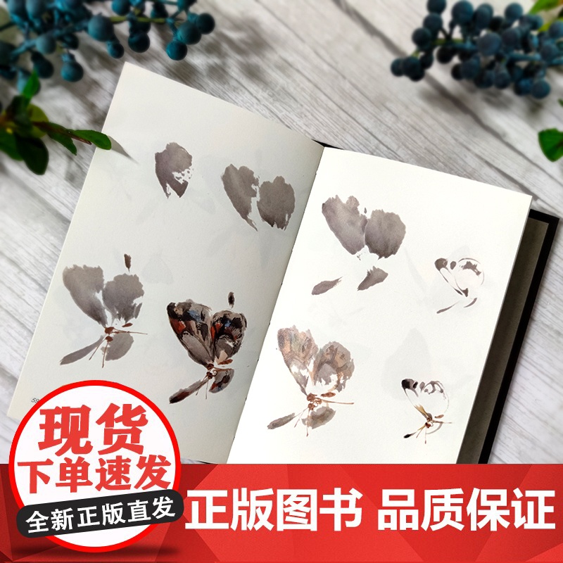 萧朗画草虫 36开精装口袋本 萧朗画集 萧朗草虫画花鸟画作品集 当代名家画集赏析 萧朗国画写意画集 天津人民美术出版社高清大图