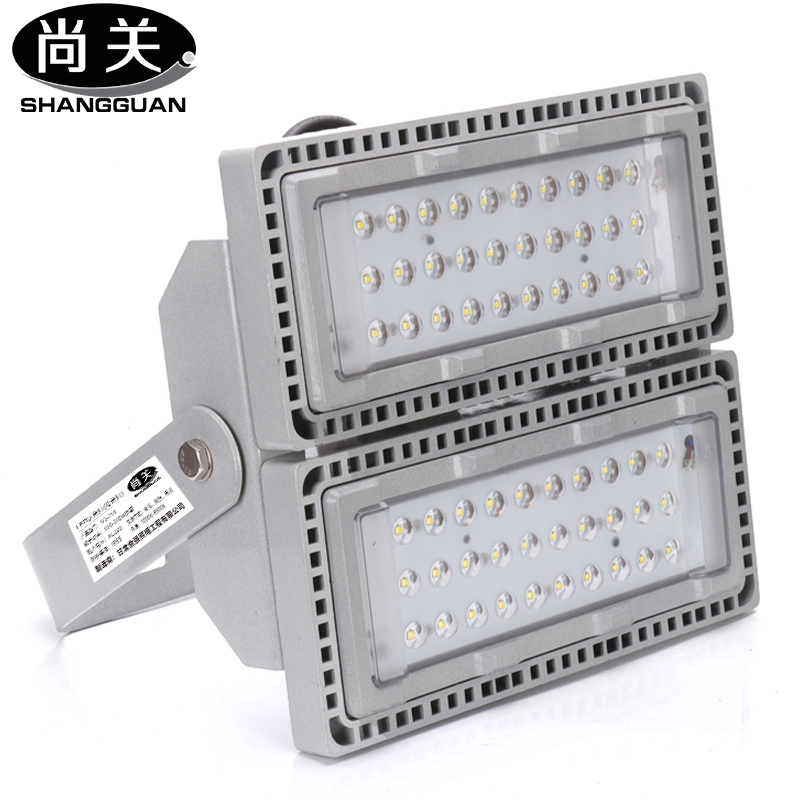 尚关(SHANGGUAN)( 投光灯)SQ-Z18 AC220V LED 100W泛光灯