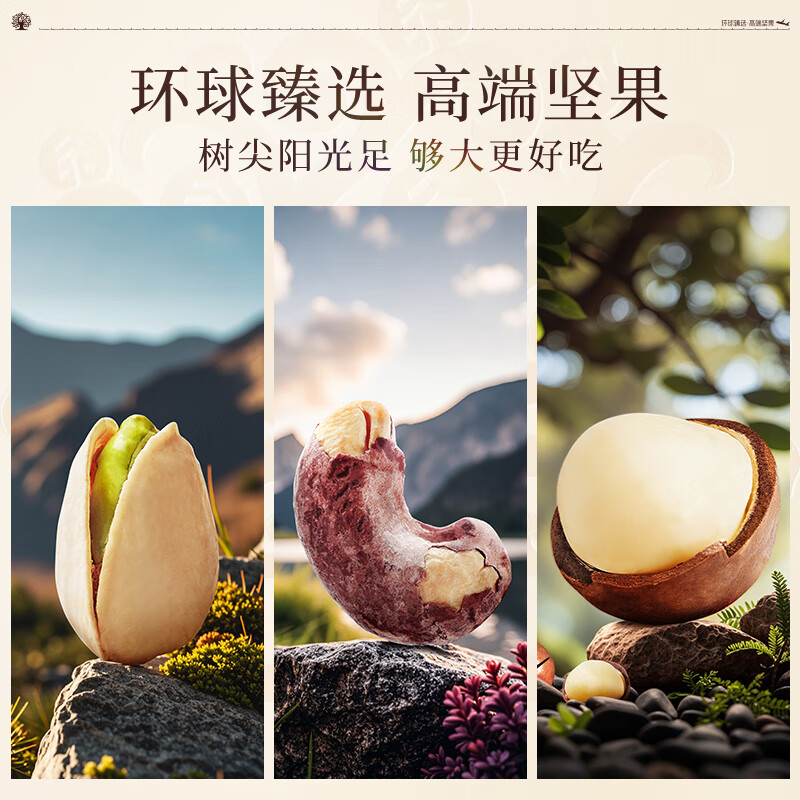 臻味 环球茗果 坚果礼盒 1.97kg 盒高清大图