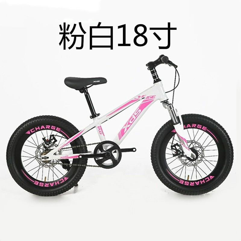 喜德盛儿童自行车冲锋号男女款20寸双碟刹铝合金车架单车 颜色随机