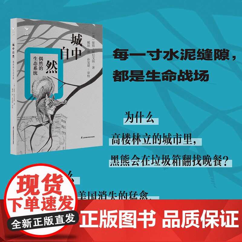 城中自然 偶然的生态系统高清大图