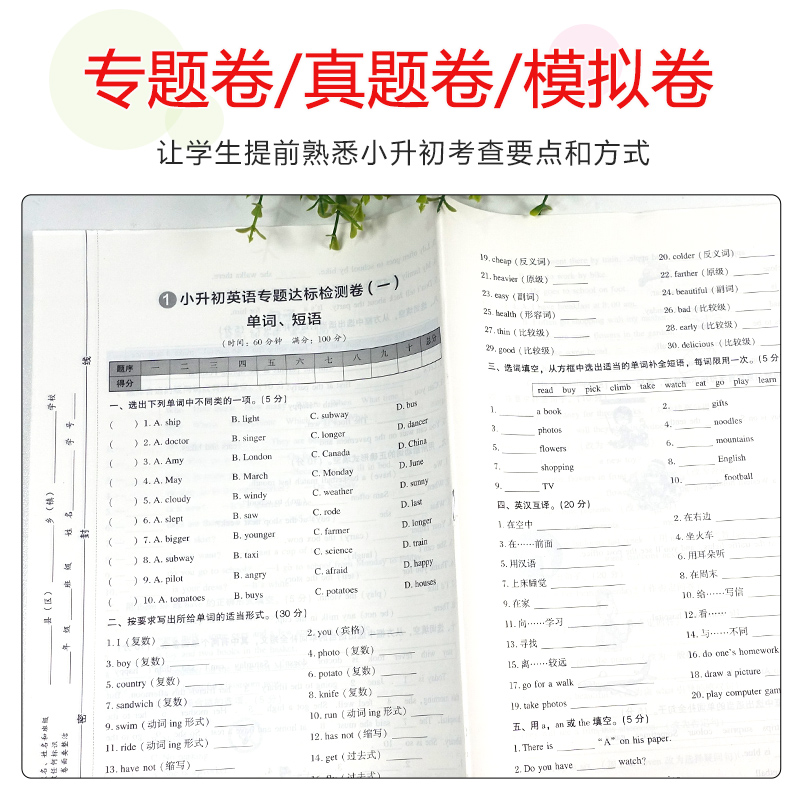 小升初总复习.英语 小学升初中 [正版]2023木头马小升初名师帮你总复习名师特训英语小学六年级上下册语法短语句式考点解高清大图