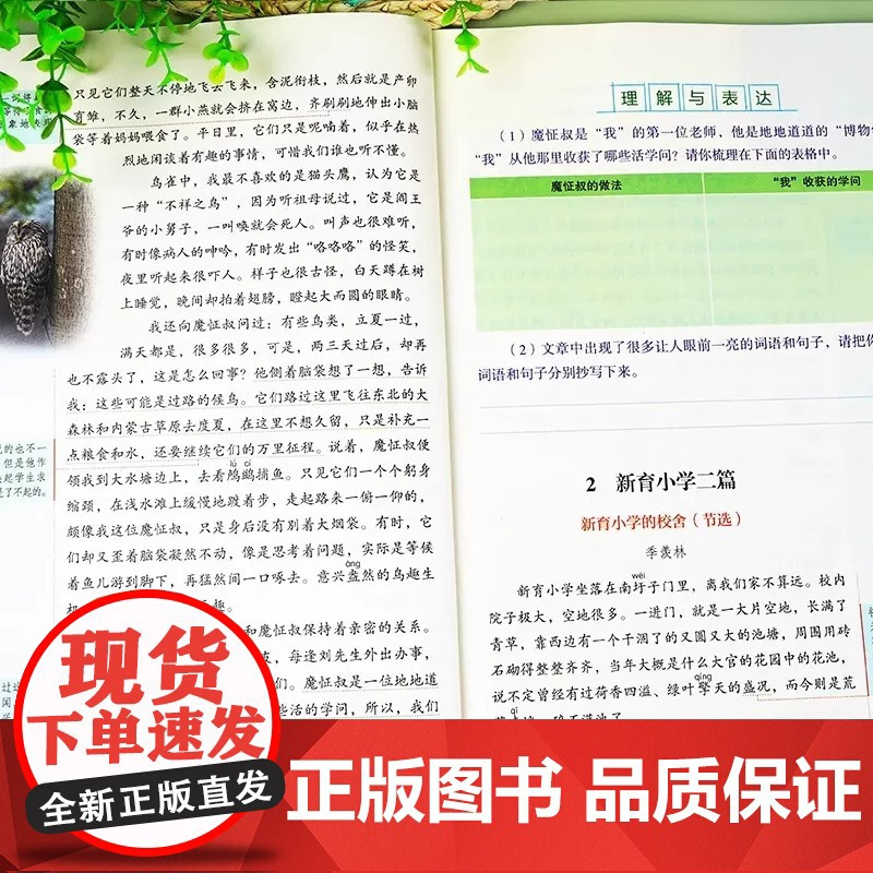 2025新版人民日报伴你阅读小学版一年级二年级三低年级四年级五年级六年级高年级课外阅读语文写作模板作文素材时事教你写好文