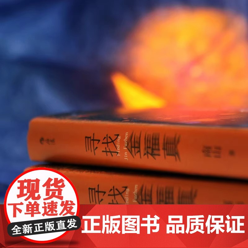 寻找金福真 南山著 豆瓣阅读女性视角的悬疑小说ZUI佳新人奖 有纪实文学的冷峻和故事会的人生百态 随书附赠番外星期天女孩高清大图