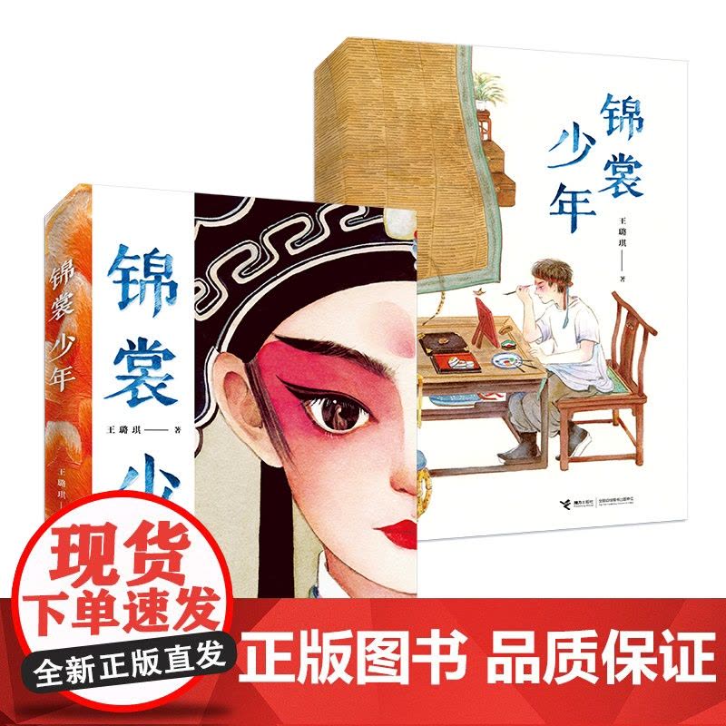 正版锦裳少年王璐琪接力出版社以昆曲作为创作题材的小说中国传统文化青少年读懂昆曲10-14岁儿童文学小学生三四五六年级课外图片