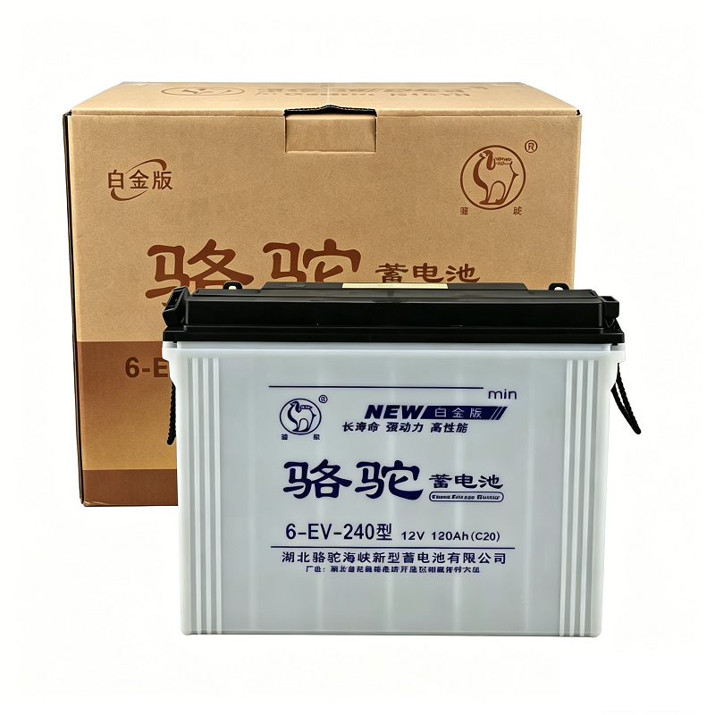 骆驼 蓄电池12V120Ah 6-EV-240型 只