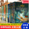 沙漠大作战 [正版] 沈石溪动物特战队全套集21册中国原创奇幻动物小说6-7-10-12-15岁儿童文学 三四五六年级小
