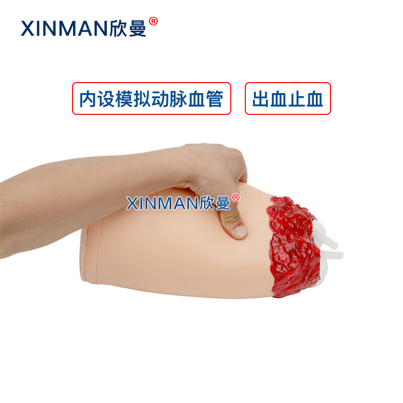 欣曼科教 下肢外伤断肢止血模型 控制出血大腿模型XM-H608高清大图