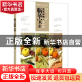 临摹宝:Ⅱ:色彩静物·小色稿
