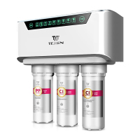 特洁恩(TEJIEN) 家用反渗透直饮双出水纯水机净水器 AF-F600