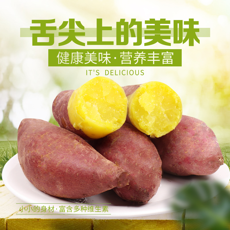 龙九蜜薯新鲜沙地糖心地瓜软糯香甜蜜薯 龙九蜜薯 5斤中大果