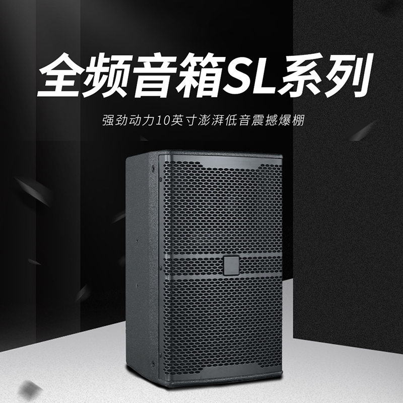 润普国产化会议室展厅教室礼堂报告厅10英寸全频专业会议音响/音箱RP-HYD655高清大图